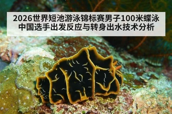 2026世界短池游泳锦标赛男子100米蝶泳中国选手出发反应与转身出水技术分析